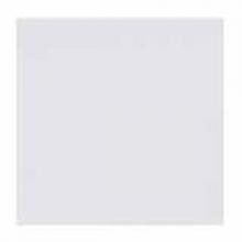 Stanpro (Standard Products Inc.) 59097 - LENS FLAT SHEET ACRYLIC 0.125in WHITE 4 x 8FT 48 x 96in STD