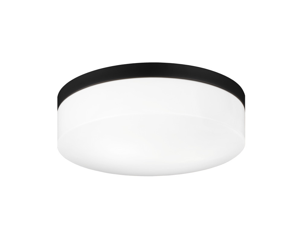 Xenon Black Ceiling Mount