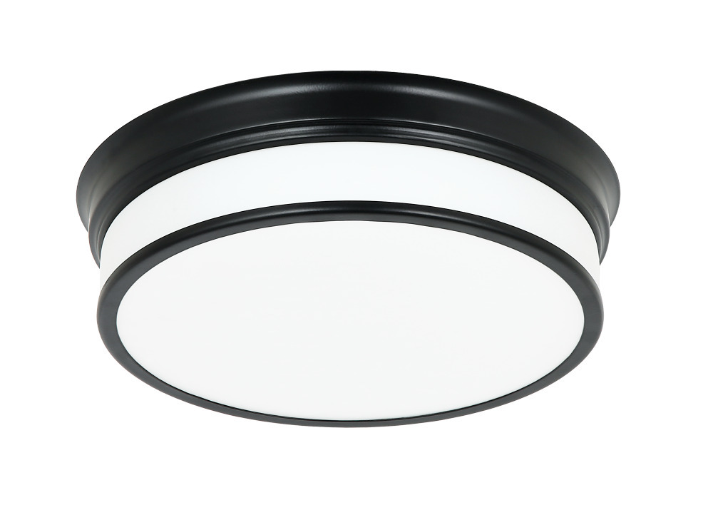 Navo Black Ceiling Mount