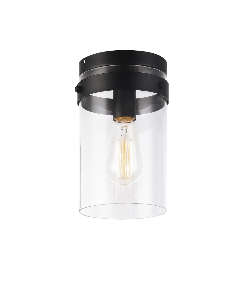 Zale Black Ceiling Mount