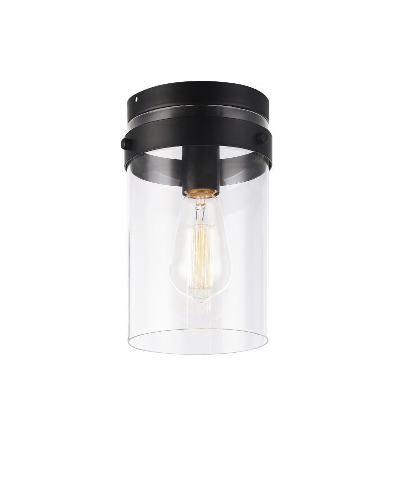 Zale Black Ceiling Mount
