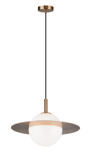 C60411AGOP_B.jpg