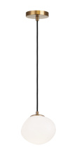 C63601AGOP_B.jpg