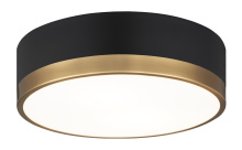 Matteo Lighting M14302BKAG - Trydor Black, Aged Gold Brass Ceiling Mount