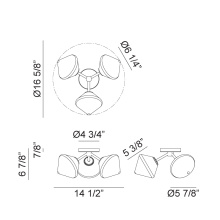 X81743AGCL_B.jpg