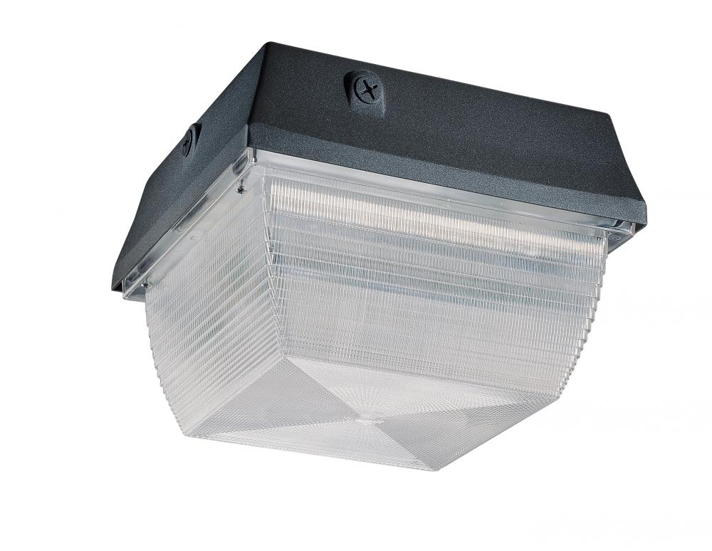 High Pressure Sodium Ceiling / Wallpack - (1) HPS100W/E26