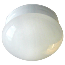 Canarm IFM13711 - Fmount, 1 Bulb Flushmount, White Opal Glass, 60W Type A