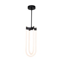 Artcraft AC6815BK - Cascata Collection 2-Light Pendant Black and Brushed Brass